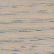 Λευκόδερμη Πεύκη 429M